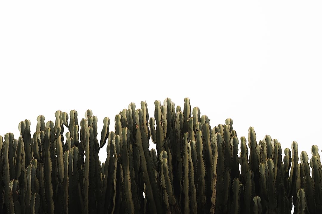 蔡徐坤 Jasmine 复古胶片风MV上线